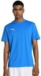 PUMA teamGOAL Jersey