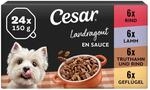 Cesar Landragout Adult 6 x 150 g Schalen mit Rind & Nudeln, Truthahn, Rind &