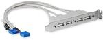 StarTech USBPLATE4 Slotblech Adapter (4-Port, USB 2.0 Typ-A Buchse)