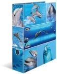HERMA Ordner A4 Delfine, 7 cm breit, Kinder Ringordner mit Tier Motiv, bunter