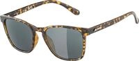 Alpina Yefe (POL) - Polarisierende Sonnenbrille f&uuml;r Damen und Herren,