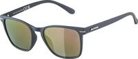 Alpina Yefe (POL) - Polarisierende Sonnenbrille f&uuml;r Damen und Herren,