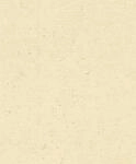 Rasch Tapeten Vliestapete (universell) Beige 10,05 m x 0,53 m Concrete 520842