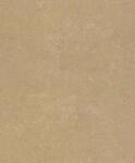 Rasch Tapete 315196 - Vliestapete Gold Metallic Einfarbig Betonoptik Struktur aus der