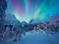 Ravensburger Puzzle Wenn die Nordlichter tanzen - 1500 Teile Puzzle | 1500 Teile