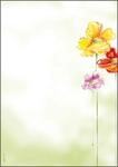 SIGEL DP123 Motiv-Papier"Spring Flowers", DIN A4, 90 g/m&sup2;, 50 Blatt