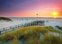 Ravensburger Puzzle Sonnenuntergang &uuml;ber Amrum - 1000 Teile Puzzle | 1000 Teile