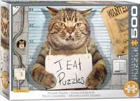 Felony Cat by Paul Normand