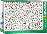 Eurographics 2000 Teile - Vogelwelt, 8220-0821, mehrfarbig