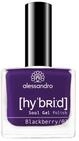 alessandro HYBRID Lack Blackberry - sattes Brombeer-Blauviolett- In nur 3...