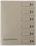 Bene 83600GR Ordnungsmappe mit Schutzumschlag, grau