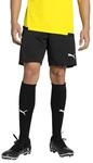 PUMA teamGOAL Training Short