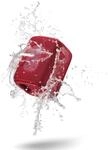 Motorola Sound ROKR 300 Bluetooth Lautsprecher 5.3 IP67 7W 12h Rot