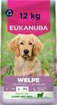 Eukanuba Welpenfutter trocken mit Lamm und Reis f&uuml;r gro&szlig;e Rassen, 12 kg