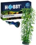 HOBBY Aquaristik Heteranthera I 34 cm I Naturgetreue Nachbildung I
