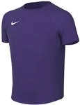 NIKE Dri-FIT Park VIII Short-Sleeved Shirt