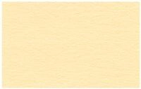 Ursus 2174610 - Tonzeichenpapier chamois, DIN A4, 130 g/qm, 100 Blatt, durchgef&auml;rbt,