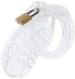 Hidden Desire - Extreme Chastity Cock Cage Acrylic