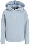 JACK & JONES Jjesoho Sweat Hood Noos Jnr