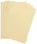 Clairefontaine 975373C Packung mit 25 Bastelkartons Maya, 185g, DIN A3, 29,7 x...