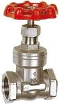RIEGLER 103788-250.39 ES Muffen-Absperrschieber, Edelstahl 1.4401/1.4408, G 2,...