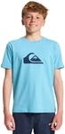 Quiksilver T-Shirt mit kurzen &Auml;rmeln, EV Com Logo, f&uuml;r Jungen, 8-16 Jahre,...