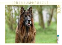 CALVENDO Puzzle 10 j&auml;hriger Langstockhaar Sch&auml;ferhund | 1000 Teile...