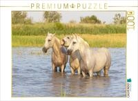 CALVENDO Puzzle Verschnaufpause | 1000 Teile Lege-Gr&ouml;&szlig;e 64 x 48 cm...
