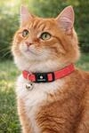 katzenhalsband - Elza Korallenrot 20&ndash;34 cm &ndash; elastisches Nylon reflektierend mit