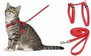 katzengeschirr - Elza Koralle - 22-32cm - 27-46cm - Leine 110cm - Nylon verstellbar -