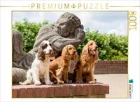 CALVENDO Puzzle DREI Cocker sitzen vor Einer Steinfigur 1000 Teile Puzzle quer 
