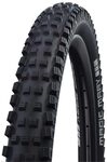 SCHWALBE Magic Mary Trail, TLR