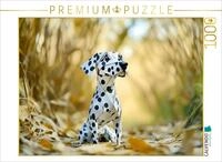 CALVENDO Puzzle EIN Motiv aus dem KalenderWenn Papier zum Leben erwacht | 1000...