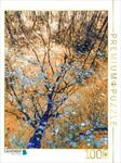CALVENDO Puzzle Wo Erinnerungen wie Bl&auml;ter Treiben | 1000 Teile Lege-Gr&ouml;&szlig;e 48 x 64