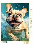 CALVENDO Puzzle Franz&ouml;sische Bulldogge im Wasser | Lege-Gr&ouml;&szlig;e cm Foto-Puzzle f&uuml;r