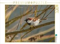 CALVENDO Puzzle Frecher Spatz 1000 Teile Puzzle quer | Lege-Gr&ouml;&szlig;e cm Foto-Puzzle