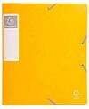 Exacompta 16006H 10er Pack Premium Sammelbox mit Gummizug 60 mm breit aus extra