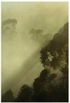 Komar Wandbild | Golden Light | Poster, Bild, Wohnzimmer, Schlafzimmer,...