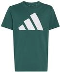 adidas Unisex Kinder Essentials Big Logo Shirt, Collegiate Green/White, 7-8...