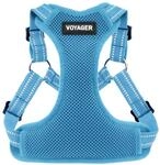 Voyager Verstellbares Hundegeschirr mit Reflektorstreifen by Best Pet Supplies -