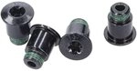 SRAM Rival 12-Speed Crank Bolt Kit