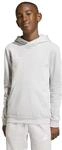 adidas Unisex Kids Entrada 26 Kids Hoodie