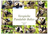 Kalender 2027 &middot; Pandab&auml;r Babys | Niedliche verspielte Pandab&auml;r Babys &middot; DIN...