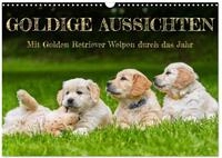 Kalender 2027 &middot; Goldige Aussichten - Mit Golden Retriever Welpen durch das |...