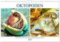 Kalender 2027 &middot; Ok oden. Drei Herzen, acht Arme und das Gehirn im ganzen |...