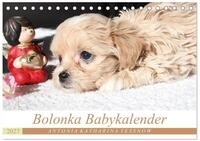 Kalender 2027 &middot; Bolonka Babykalender 2027 | Ein gelungener Kalender mit