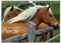 Kalender 2027 &middot; Pferde - Hobby und Leidenschaft | Sie sehen wundersch&ouml;ne und