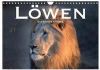 Kalender 2027 &middot; L&ouml;wen. Die K&ouml;nige Afrikas | Faszinierende Fotos der wahren