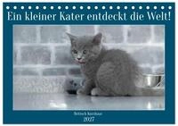 Kalender 2027 &middot; Ein kleiner Kater entdeckt die Welt | Emotionale Fotos vom BKH...