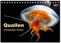 Kalender 2027 &middot; Quallen - einzigartige Wesen | Sie sind uralt und sehen ganz...